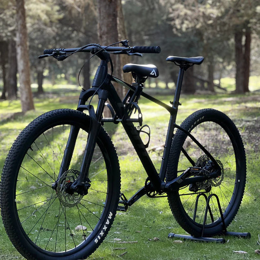 MIniseat - För cykel upplevelse med familjen